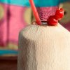cocodile-a-fresh-coconut